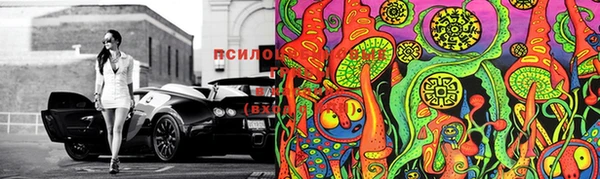прущие крисы Хадыженск