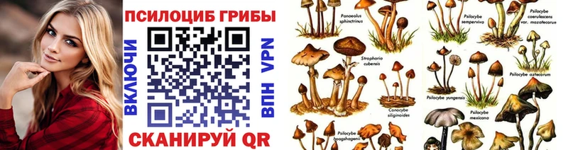 Псилоцибиновые грибы Psilocybe  закладки  Донской 